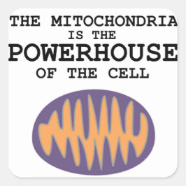 Cuadrada Mitochondria es la casa poderosa - Pegatina