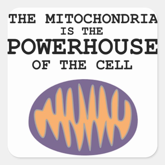 Cuadrada Mitochondria es la casa poderosa - Pegatina (Anverso)