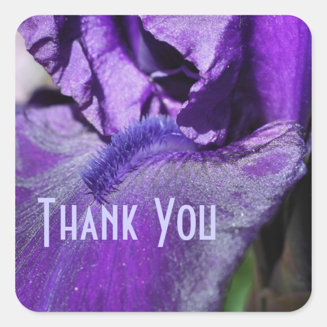 Cuadrada Morple Iris Petal Flower Gracias Pegatina (Anverso)