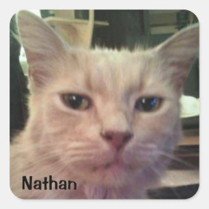 CUADRADA NATHAN PEGATINA
