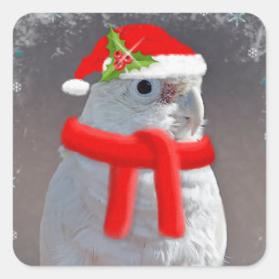 Cuadrada Navidades Cockatoo Pegatina