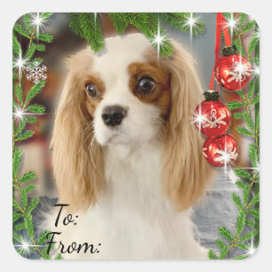 Cuadrada Navidades de Blenheim Cavalier Pegatina de etiquet