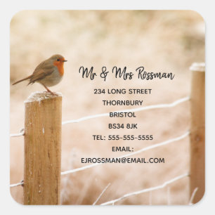 Cuadrada Navidades roben Cambio de dirección pegatina