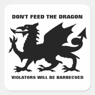 Cuadrada No alimente al Pegatina Dragón