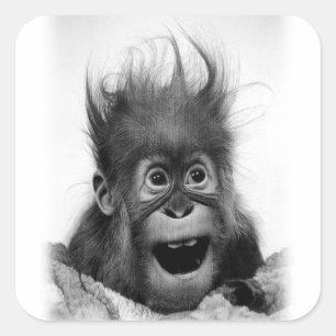 Cuadrada ¡NO PÁNICO! Pegatina cuadrado