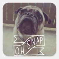 ¡Oh Snap! Pegatina