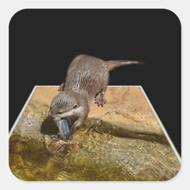 Cuadrada Otter Eating Tasty Fish Popout Art Square Pegatina (Anverso)