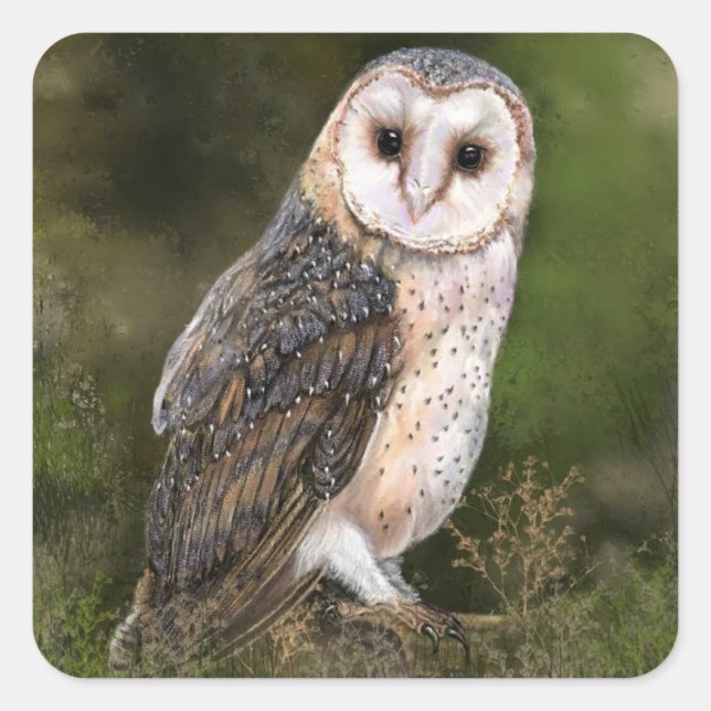 Cuadrada Owl Pegatina Gift (Anverso)