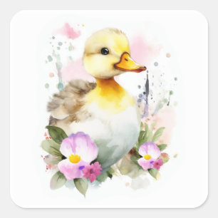 Cuadrada Pato bebé, Pegatina de la Plaza del Duckling