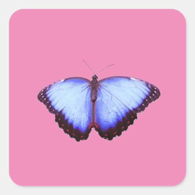 Cuadrada Pegatina (Anverso)