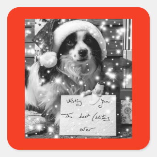 Cuadrada Pegatina AUSTRALIANO DE LA PLAZA SHEPARD