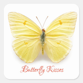Cuadrada Pegatina Besos de Mariposa