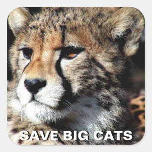 Cuadrada Pegatina Chita