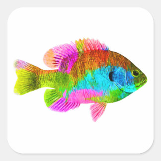 Cuadrada Pegatina colorido de Fish Square