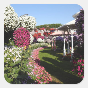 Cuadrada Pegatina con Petunias Garden