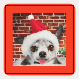 Cuadrada PEGATINA CUADRADO CHIHUAHUA EN Santa hat