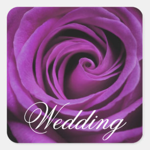 Cuadrada Pegatina cuadrado de Boda morado Rosa