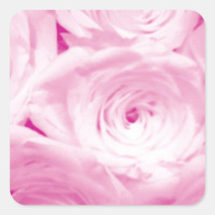 Cuadrada Pegatina cuadrado de flores rosadas para el favor 