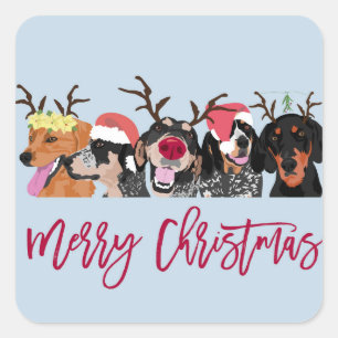 Cuadrada Pegatina cuadrado de Merry Christmas Coonhound Hea