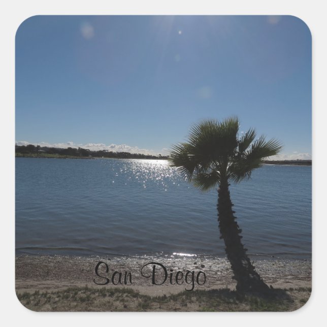 Cuadrada Pegatina de árbol de palmeras de San Diego (Anverso)