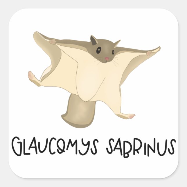 Cuadrada Pegatina de ardilla voladora (Anverso)