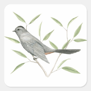 Cuadrada Pegatina de Arte Gray Catbird Bird