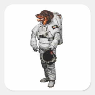 Cuadrada Pegatina de Astronauta Beauceron