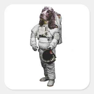 Cuadrada Pegatina de astronauta Cocker Spaniel