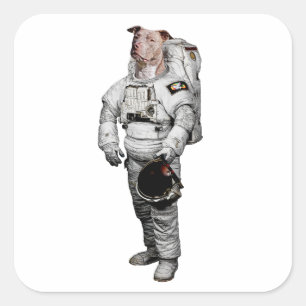 Cuadrada Pegatina de Astronauta Pit Bull Terrier