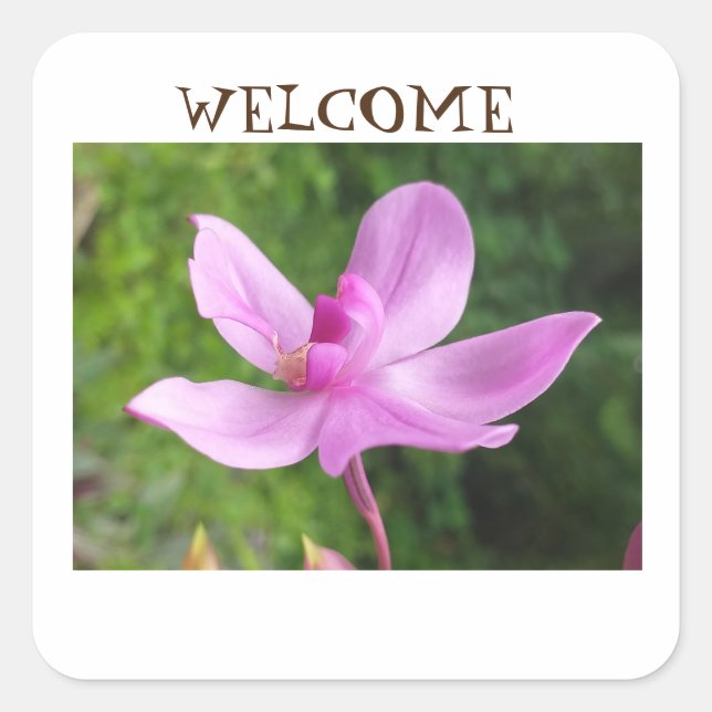 Cuadrada Pegatina DE BIENVENIDA (Anverso)