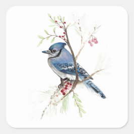 Cuadrada Pegatina de Blue Jay Bird Berries Square
