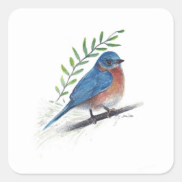 Cuadrada Pegatina de Bluebird Bird Art Square