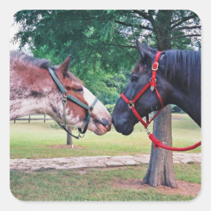 Cuadrada Pegatina de Caballos Borradores