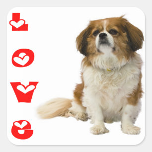 Cuadrada Pegatina de cachorro de spaniel Cavalier King Char