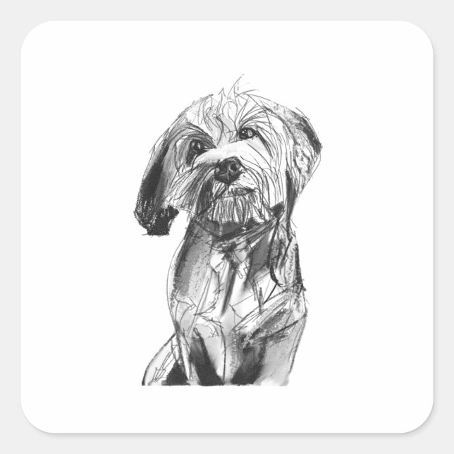 Cuadrada Pegatina de Cavapoo, Ilustración para amantes de l (Anverso)