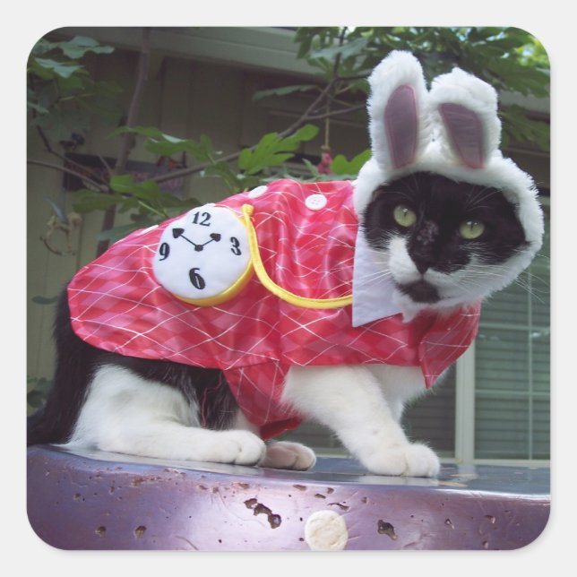 Cuadrada Pegatina de conejo blanco (Anverso)