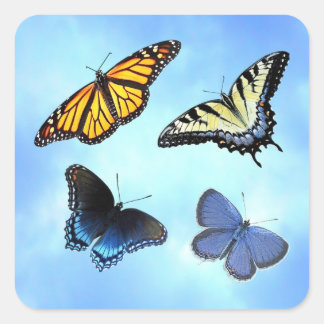Cuadrada Pegatina de cuatro mariposas