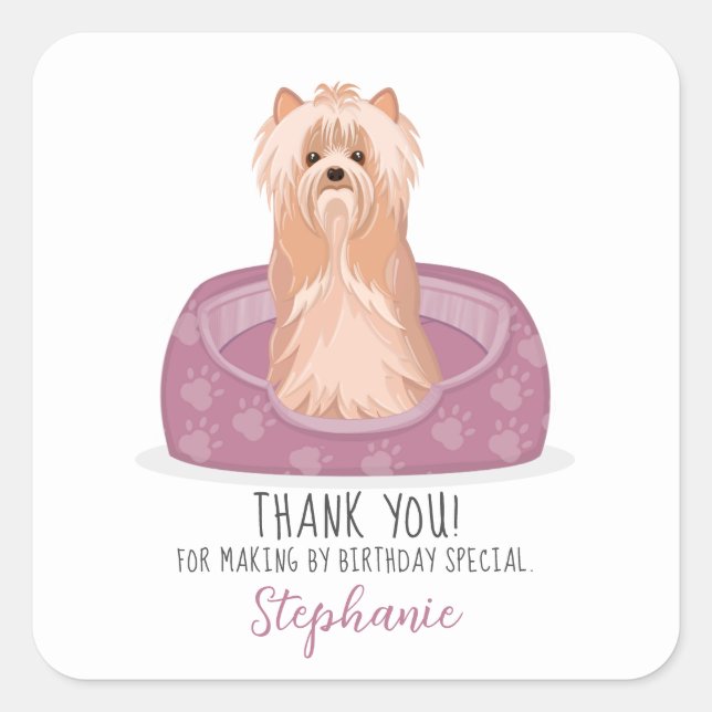 Cuadrada Pegatina de Cute Yorkshire Terrier Birthday Square (Anverso)