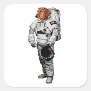 Cuadrada Pegatina de Dackel Astronauta