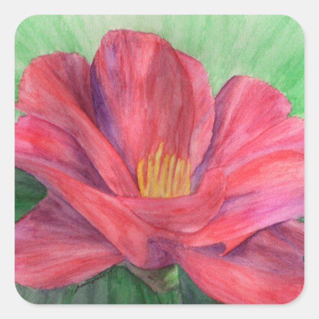 Cuadrada Pegatina de desarrollo (Anverso)