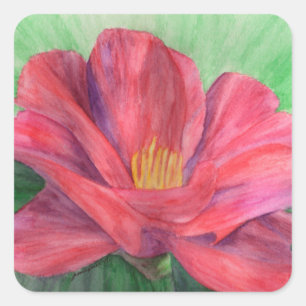 Cuadrada Pegatina de desarrollo