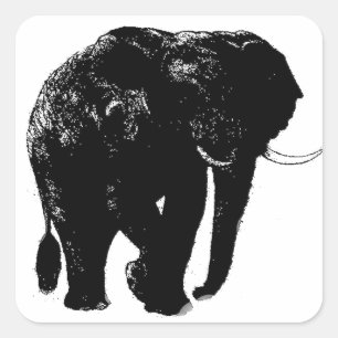 Cuadrada Pegatina de Elephant Square