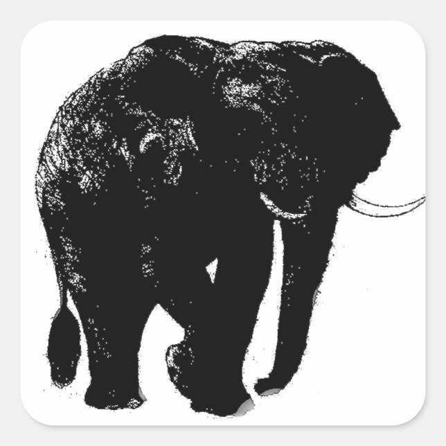 Cuadrada Pegatina de Elephant Square (Anverso)