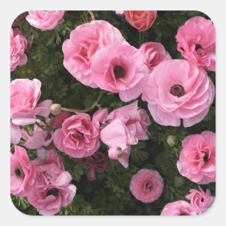 Cuadrada Pegatina de flores rosas