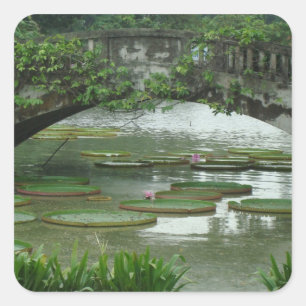 Cuadrada Pegatina de foto de nenúfar
