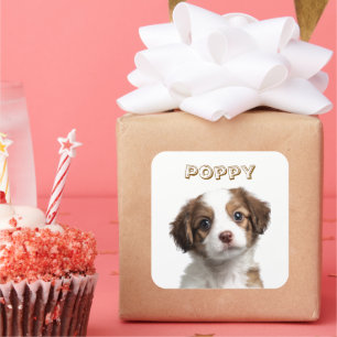 Cuadrada Pegatina de fotografía y nombre de perro personali