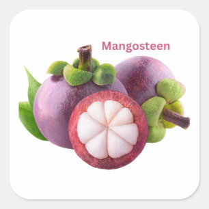 Cuadrada Pegatina de fruta de mangostán