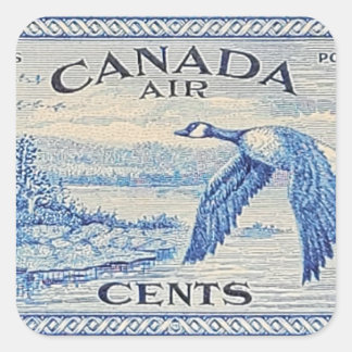 Cuadrada Pegatina de ganso de Canadá