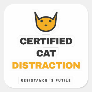 Cuadrada Pegatina de Gato Divertida Distracción de Gato Cer