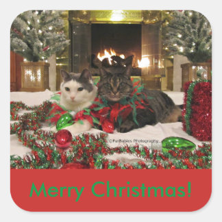 Cuadrada Pegatina de gatos de Navidades hábiles